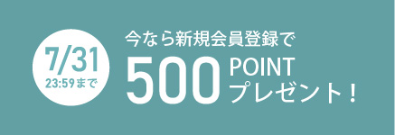 500ポイントバナーSP