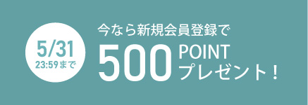 500ポイントバナーSP